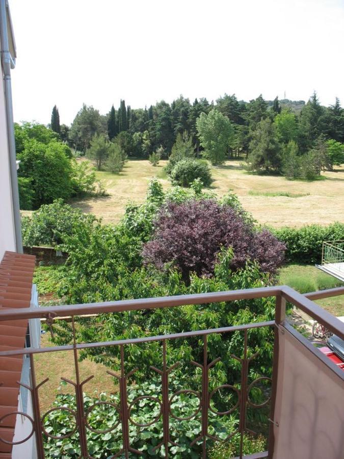 Apartament Noki21